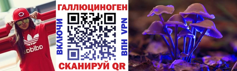 Псилоцибиновые грибы Cubensis  Купить  Рошаль 